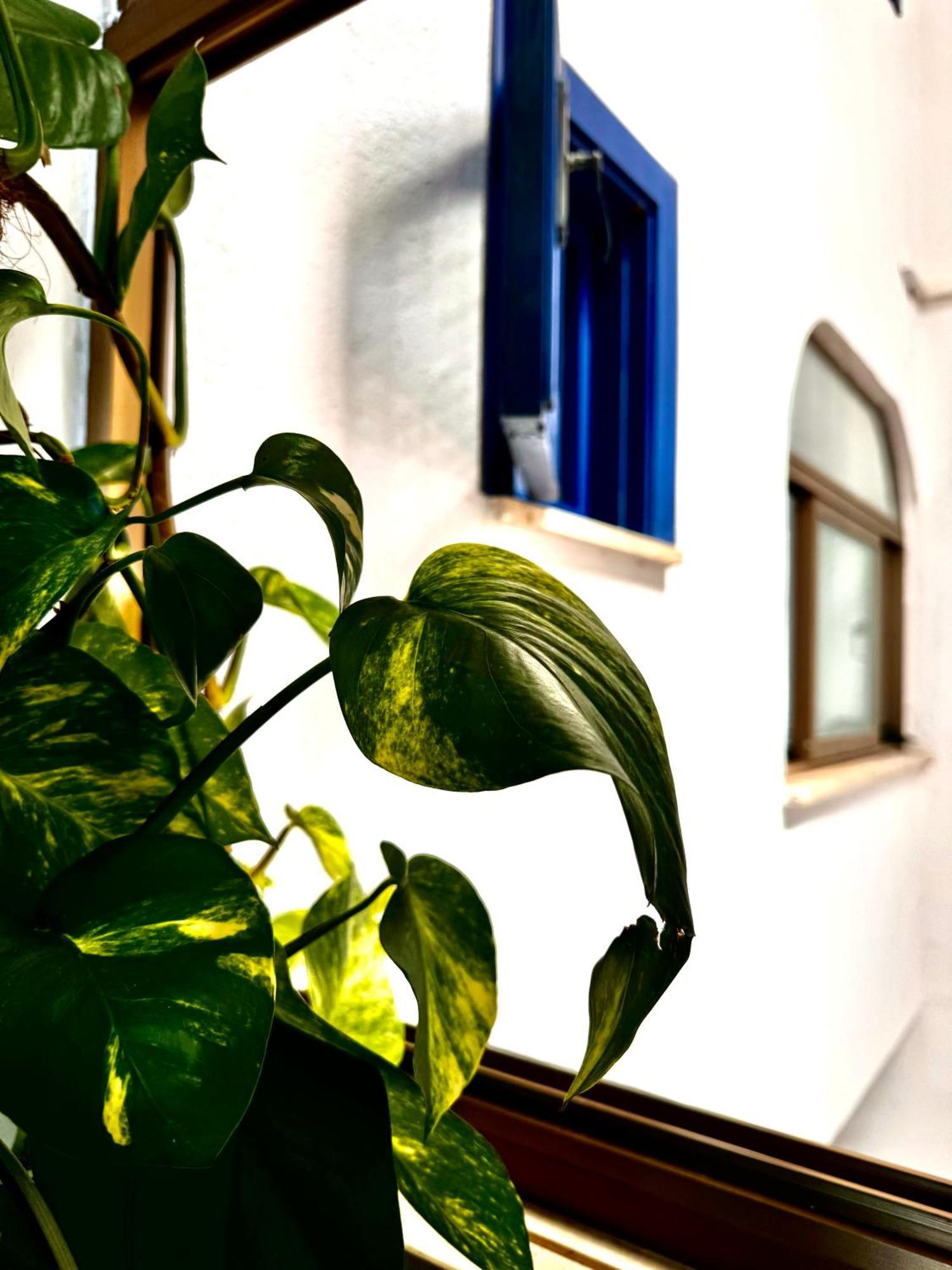 Boutique San Daniele Hotel Cirella Exterior photo